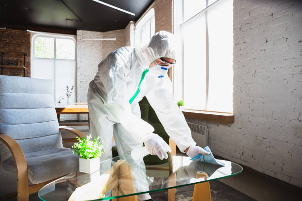 Why You Should Choose Our Mold Remediation Services in Ennis, TX